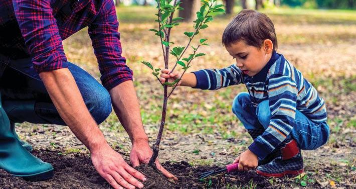 little boy planting tree